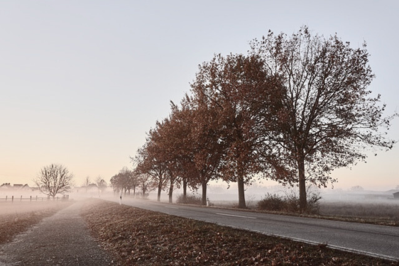 Kuidas leida aega iseendale, kui kõik teised vajavad mind