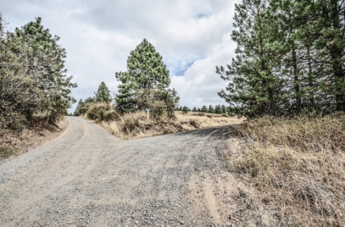 Selgus väärtustes elu ja otsuste muutja