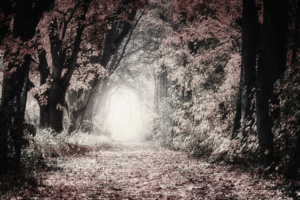 5 põhjust, miks eesmärkide suunas liikumine ebaõnnestub